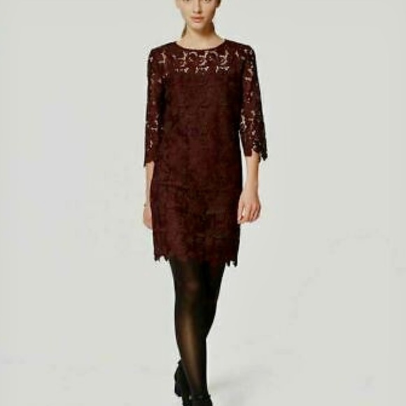 LOFT Dresses & Skirts - LOFT Lace Shift Dress - NWT Beautiful! Size 10